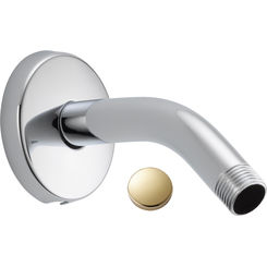 Click here to see Delta U4993-PB Delta U4993-PB Polished Brass Shower Arm And Flange