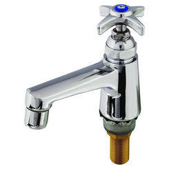 Click here to see T&S Brass B-0710-01 T&S Brass B-0710-01 Sill Faucet