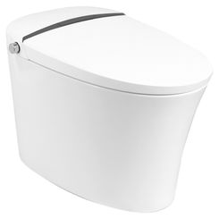Click here to see ProStock PSBTWE2000 ProStock 2K Smart Toilet w/ Bidet Combo, White, PSBTWE2000