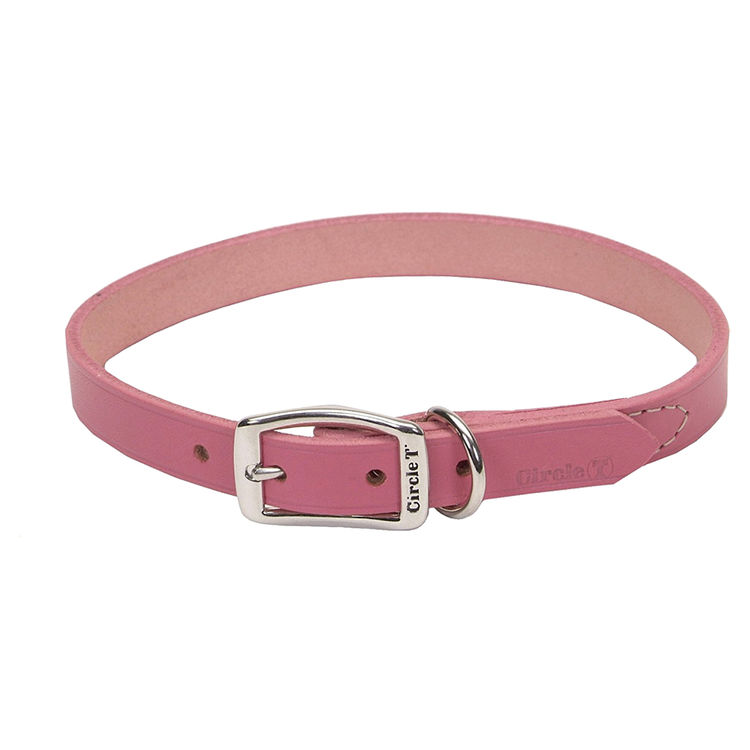 Aspen Pet 10850 Doskocil 10850 Adjustable Camouflage Pet Collar, 1 in x 20 - 24 in Belt, Pink