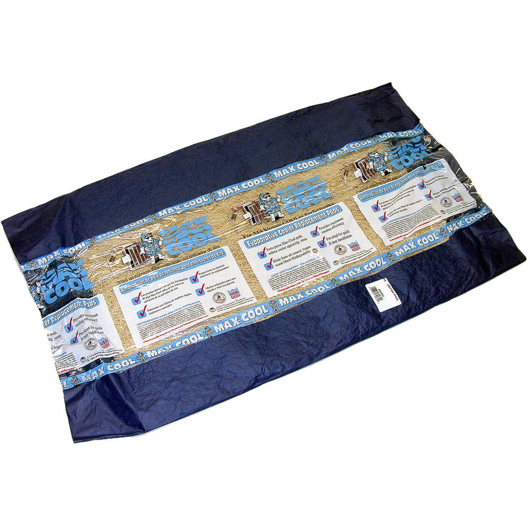 Dial 3001 Dial 3001 28x34 Inches MaxCool Aspen Pad