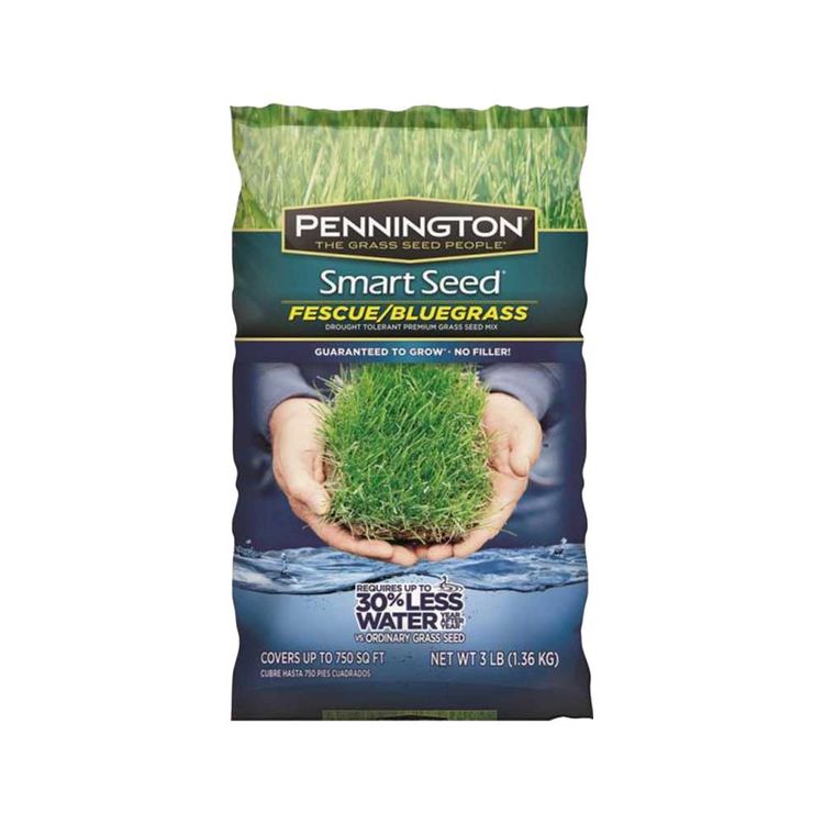 Pennington Seed 100086847 Smart Seed Grass Seed, Kentucky Bluegrass, 3 Lb