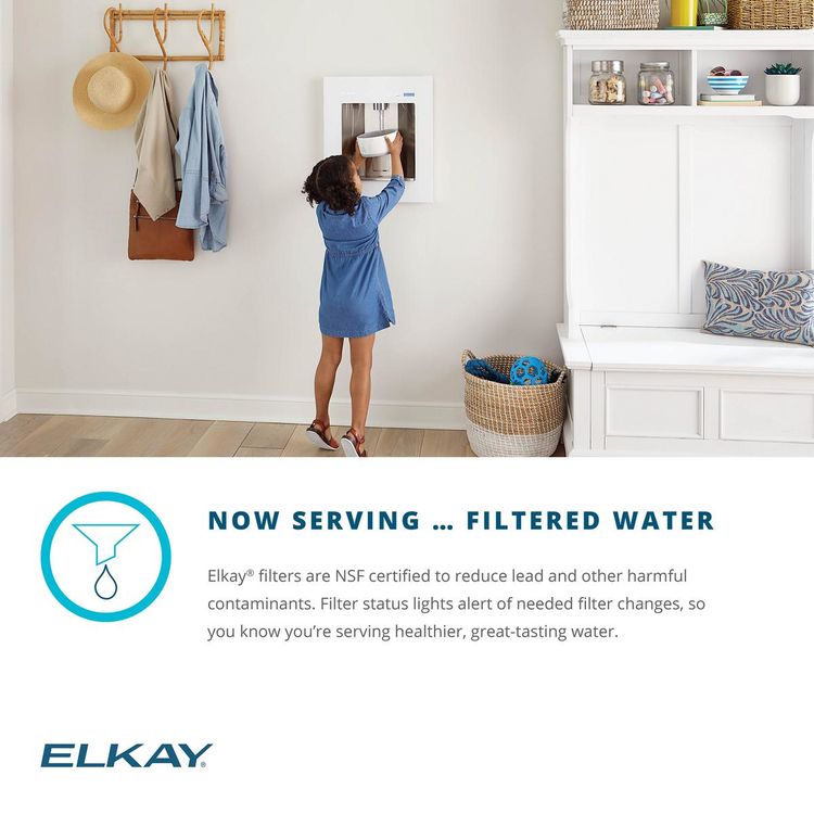 Elkay ezH2O Liv Builtin Filtered Water Dispenser, Remote Chiller